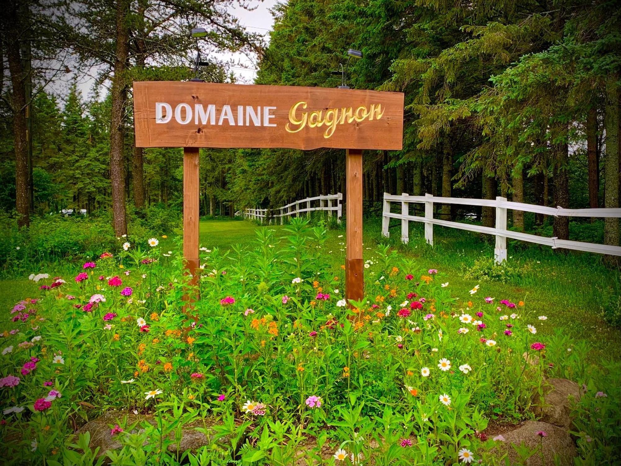 Domaine Gagnon Villa Saint Sebastien Bagian luar foto