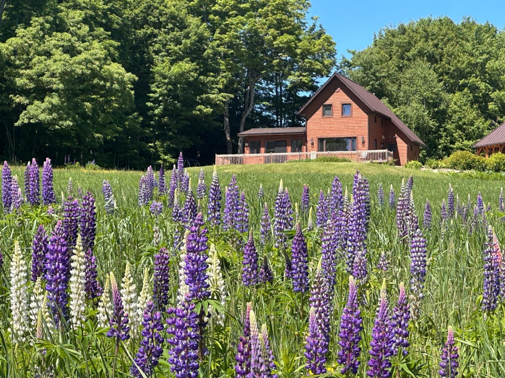 Domaine Gagnon Villa Saint Sebastien Bagian luar foto